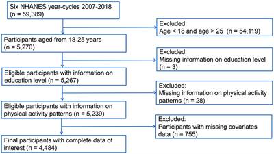 The role of education attainment on 24-hour movement behavior in emerging adults: evidence from a population-based study